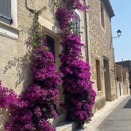 Casa Amarante - Piscine Privée Chauffée - Climatisation - Wifi Villa Roquefort-des-Corbières