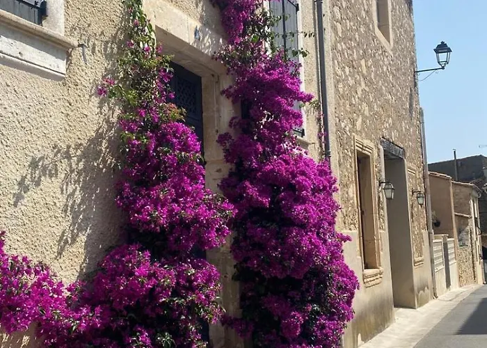 Casa Amarante - Piscine Privee Chauffee - Climatisation - Wifi וילה Roquefort-des-Corbières